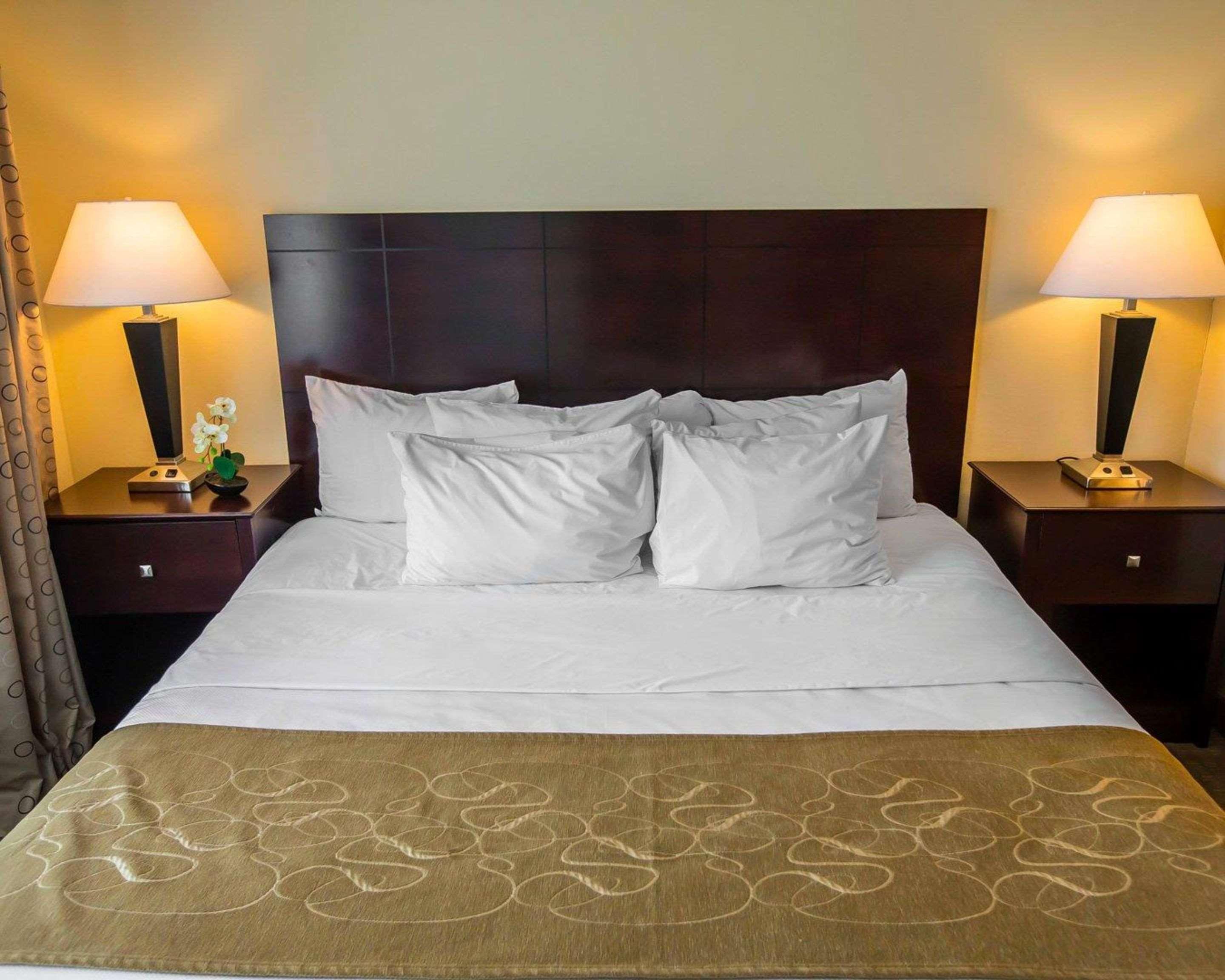 Comfort Suites University Area Notre Dame-סאות בנד מראה חיצוני תמונה