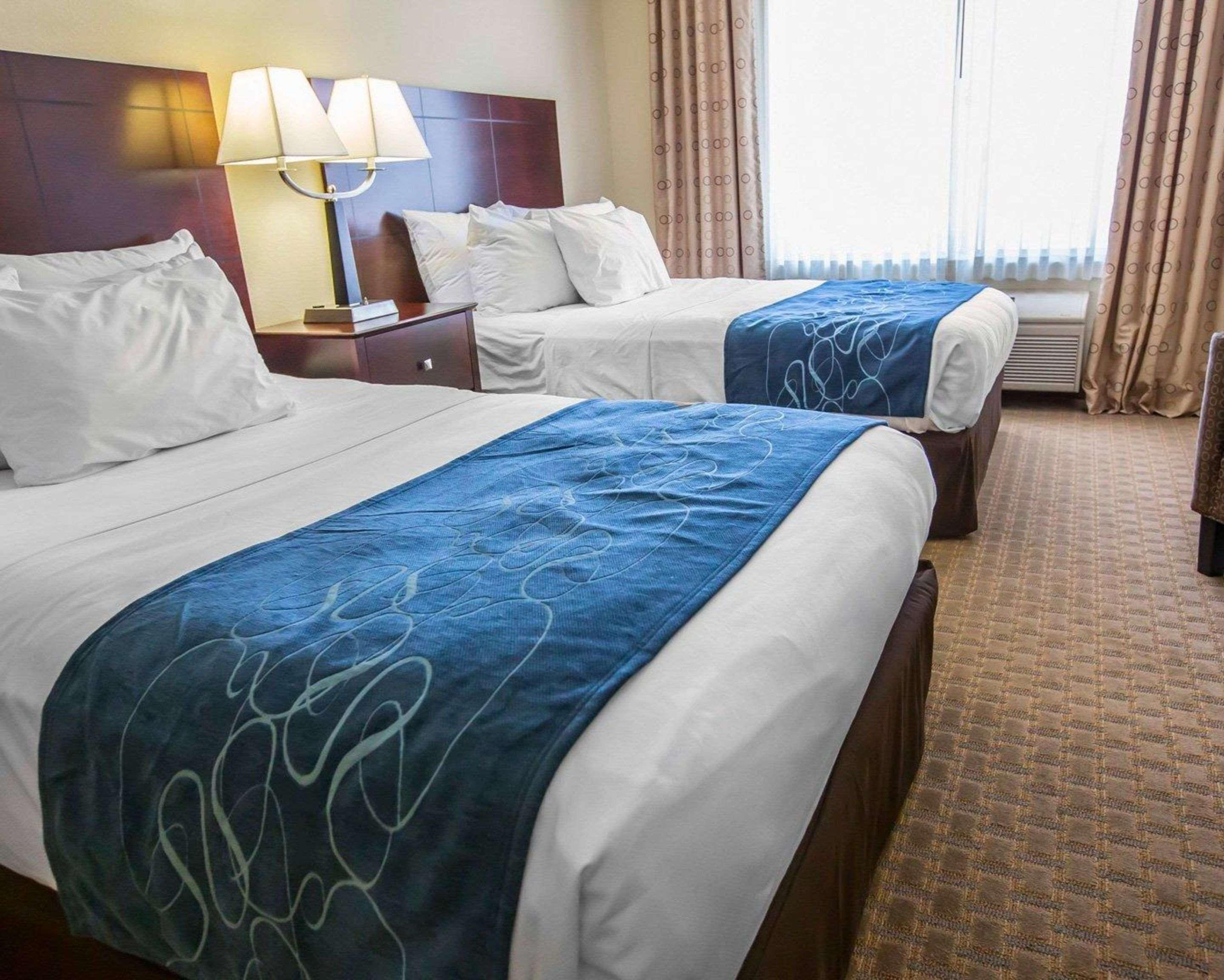 Comfort Suites University Area Notre Dame-סאות בנד מראה חיצוני תמונה
