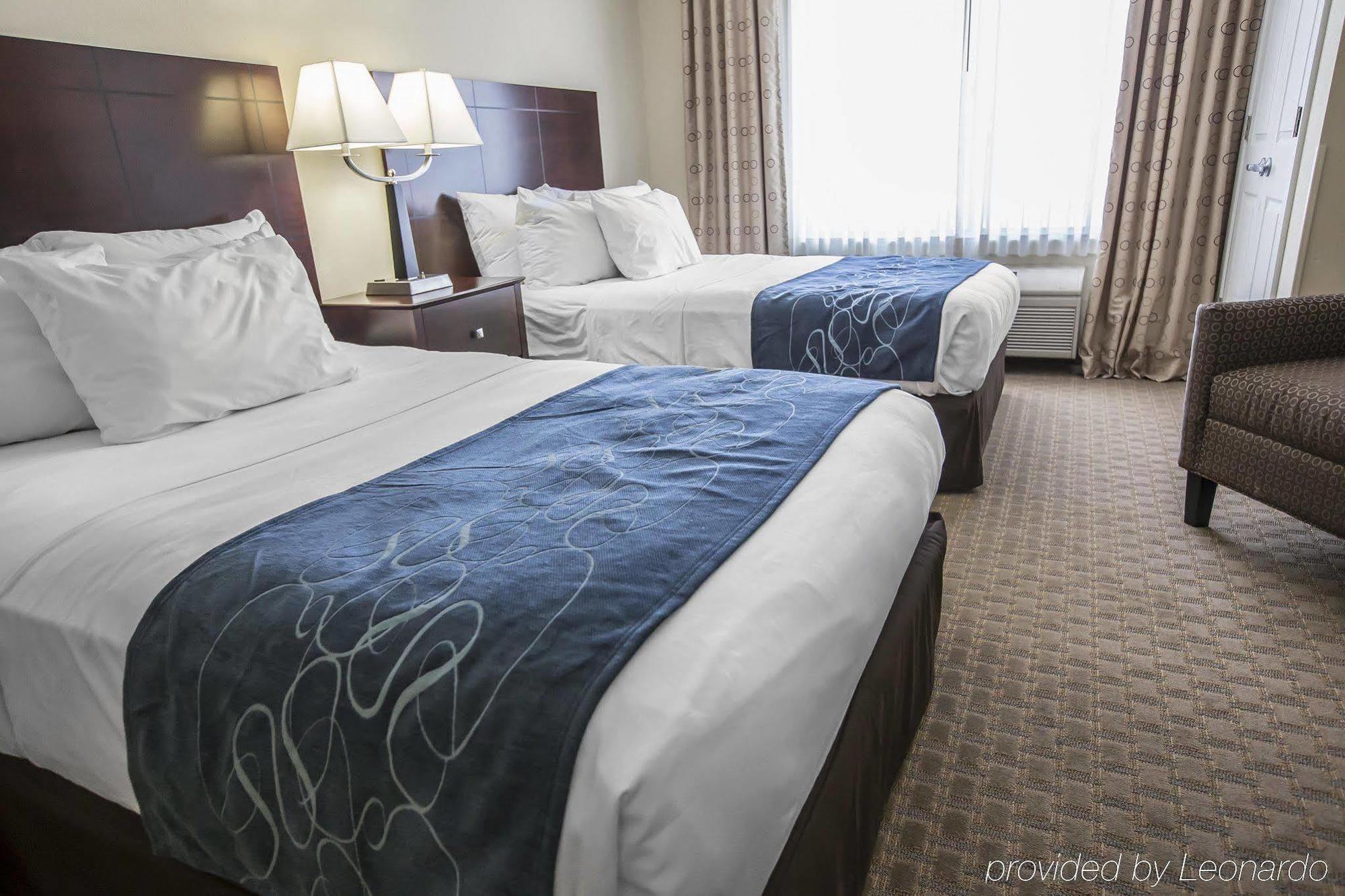 Comfort Suites University Area Notre Dame-סאות בנד מראה חיצוני תמונה